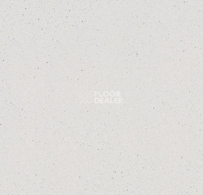 Линолеум Forbo Eternal Colour 40002 snow фото 1 | FLOORDEALER